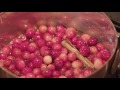 learn to make mad maple country inn s savoury cranberry sauce