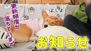 今後の動画配信についてお知らせがあります