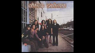 Lynyrd Skynyrd - Free Bird (Backing Track) No Vox No Guitar