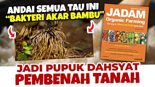 PANTES GA PERNAH KENA PENYAKIT.!! MANFAAT LUAR BIASA BAKTERI AKAR BAMBU | Pupuk Pembenah Tanah