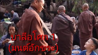 รากบาลีแบบชาวอโศก​ เพื่อธรรมรส รสแห่งธรรม​ ep.1