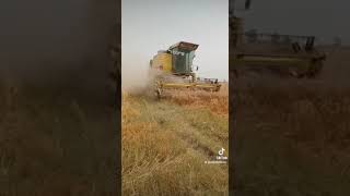 wheat cutting with speed