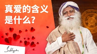 真爱的含义是什么？| Sadhguru 萨古鲁