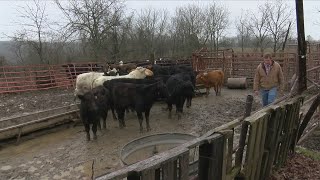 Concern for farmers mental health on the rise