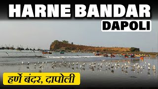 Harne bandar dapoli | हर्णे बंदरावरचा प्रसिद्ध मासळी बाजार