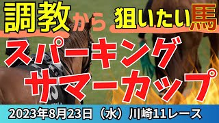 本命◎1着🎯【スパーキングサマーカップ  2023】調教から狙いたい馬はこちら！見どころ沢山な地方交流重賞【地方競馬】