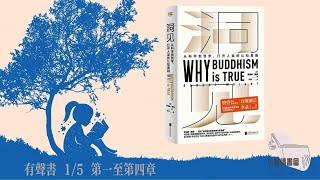 有聲書 羅伯特·賴特《洞見》1/5 只有真正了解自己，才能掌控自己的人生。從科學到哲學，打開人類的認知真相 小燕與您今日暢聽