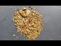 WOWW..! AMAZING VIDEOS OF GOLD DISCOVERY,.!! GOLD FINDING, GOLD RUSH, TRADITIONAL GOLD MINING