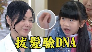 【一家團圓】EP198 至誠重逢前女友千涵還把她女兒帶回家 慈英懷疑致妤是兒子的種偷拔頭髮想檢驗│Family Reunion