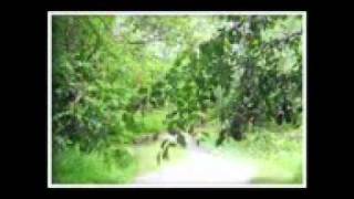 Samayaamam Radathil njan... Malayalam Christian song_mpeg4.mp4