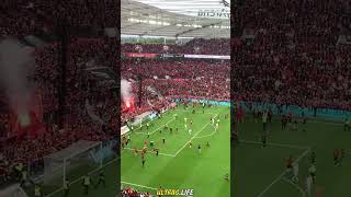 BAYER LEVERKUSEN Fans gegen Bremen / Bayer04 vs Werder Bremen (5:0) 14.4.2024