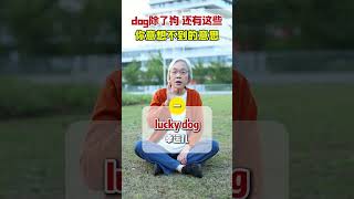 Dogg除了狗 还有这些你意想不到的意思！#英语#每日英语#英语口语#英语学习#地道英语 ©于奶奶讲英语