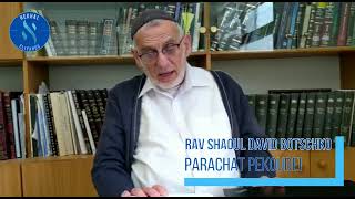 Paracha Pekoudei : La puissance de la presence divine - Rav Shaoul David Botschko