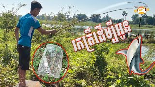 រកត្រីដើម្បីអូន 🎣 ដាក់លបយកត្រីកំផ្លាញ់នៅតាមដងអូ ស្វាយខ្សាច់ភ្នំ 🦈🦈🦈🦈