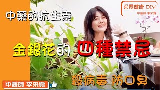 金銀花療效/服用的四種禁忌/DIY茶飲