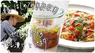 #16 First vegetable garden: Semi-dried tomatoes in oil and pasta