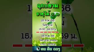 ฤกษ์ยาม ธาตุไม้ 15-16 ก.พ. 66