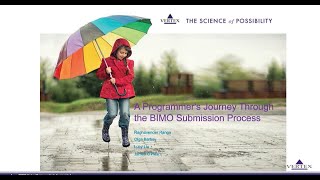 A Programmer’s Journey Through the BIMO Submission Process