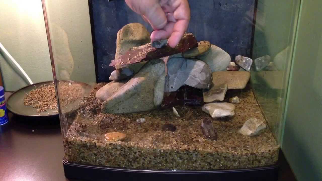 How To Setup A Tropical Fish Tank Youtube