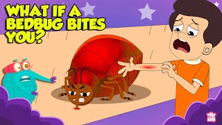 How Bed Bugs Bite? | Bed Bugs How to Get Rid of Them | Deadliest Insects | The Dr. Binocs Show