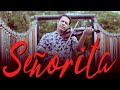 Señorita - Shawn Mendes | Camila Cabello | Violin Cover | Sachin Rohilla | 2019