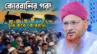 হায় হায়  একি চুরি  করে গরু কোরবানি। কোরবানির সর্বশেষ ওয়াজ । নজির আহমেদ, Nazeer Ahmed Shayad Tungi