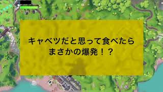 キャベツが爆発！？iOSで頑張るフォートナイト