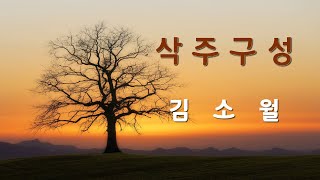 힐링시118마음의 고향을 그리워하는 김소월의 삭주구성