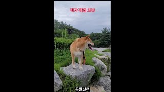 간만에 비가 그쳤네요 . 이제 그만~~