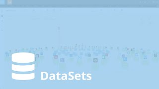 Domo Interface - DataSet Details