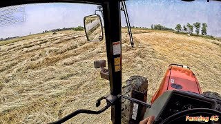 Spongy Situation, Trying to Bale Sloughs - Allis 8785, Rowse V-Rake