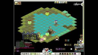 Wakfu Mineral Tower s3 solo without taking damage