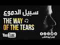 [HD] سبيل الدموع للمنشد محمد المقيط | The Way of The Tears Muhammad Al Muqit