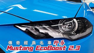 【銷售完畢】第六代Ford野馬MUSTANG ECOBOOST 2.3L擁有傳奇經典名車就是現在