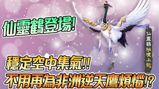 🤩穩定空中集氣「🐧仙靈鶴」登場! 不用再為非洲逆天鷹煩惱!?【片桐夏向熊】【極速領域】【QQ飛車】