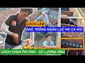 Cách Làm Ống Thông Ngăn Lọc Hồ Cá Koi. Cách Chọn Phi Ống Và Số Lượng Sao Cho Phù Hợp #hocakoi #hokoi