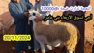 أجي تسوق السوق الأسبوعي الأربعاء بني عامر بإقليم قلعة السراغنة بتاريخ 20/11/2024 #فرجة_ممتعة