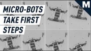 Microscopic robots | Micro chip robots by Cornvell University | Micro chip morphs | TechSIS