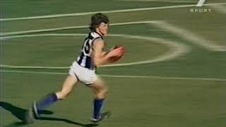 1977 VFL Preliminary Final North Melbourne Vs Hawthorn at VFL Park 16 mins