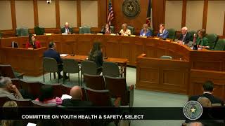 Rep. Ann Johnson asks Texas School Safety Center Director about school shootings