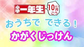 「たねが　空を　とぶ！？」（おうちでできる！かがくじっけん　2017年10月号）