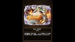 【トレクル】角竜率いる装甲部隊！盾★８ササキ　無課金