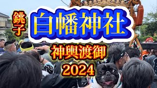 【銚子 白幡神社 神輿渡御】2024年7月14日