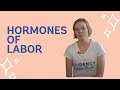 Hormones of Labor and Birth (EBB Crash Course)