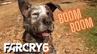 Where to Find Boom Boom Far Cry 6