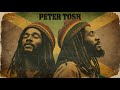 Roots Reggae (1987)[Lost Album] PETER TOSH
