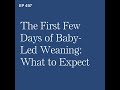 the first few days of baby led weaning what should i expect