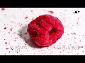 ants vs raspberry timelapse