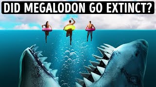 15 Megalodon Facts to Think Twice About Swimming in Ocean
