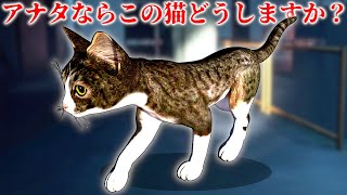 イジメの命令で超怖いと噂の廃墟に入って猫を助けるホラーゲームがヤバい【WE ARW SAVED】バッチ。